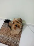 Fred