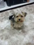 Fred