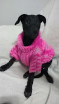 Lua