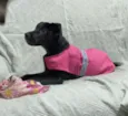 Lua