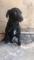 Hope