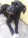 Hope