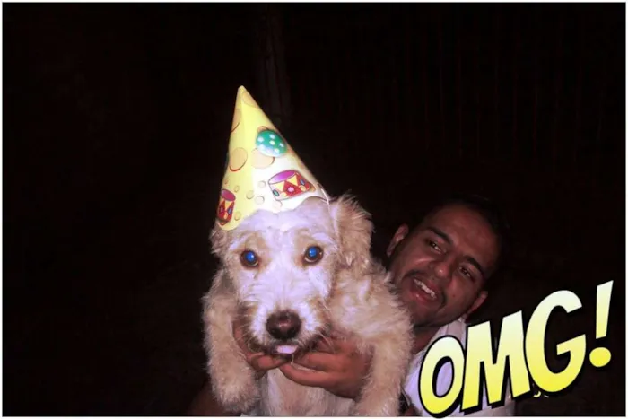 Cachorro ra a SRD idade 3 anos nome Bruce