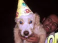Bruce