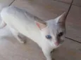 Mel