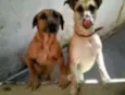 hulk e Jully