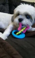 Billy