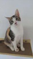 Tina