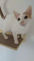 Minduim