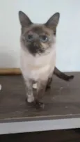 Mia