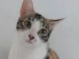 Tina