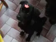 bibi