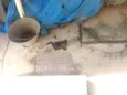 Não tem ainda