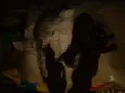 Não tem ainda