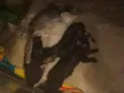 Não tem ainda