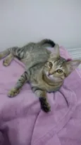 Mel