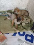 Não tem ainda 