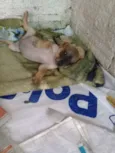 Não tem ainda 