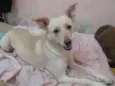 Elza