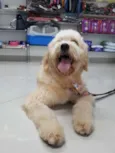 Bob