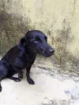 Dora