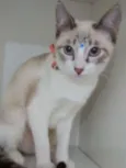 Moly