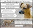 PRINCESA