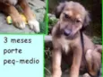 Blaublau Bebezinho