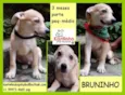 Bruninho Bebezinho