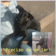 Pretinha 