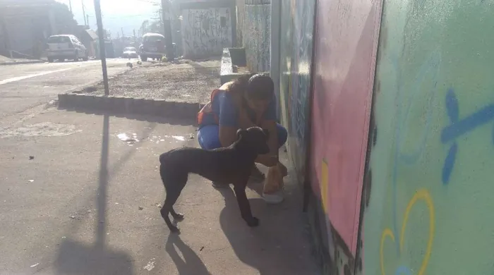 Cachorro ra a SRD idade 1 ano nome Pretinha 