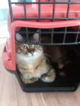 Tuti