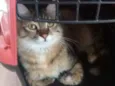 Tuti