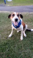 Ze Pequeno