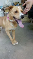 Não tem nome ainda