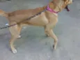 Não tem nome ainda