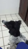 Beethoven