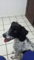 Beethoven