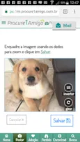 SIMBA