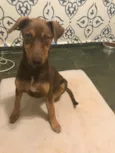 Frida
