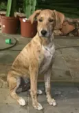 Bob