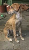 Bob