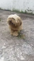 Bob 