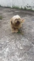 Bob 