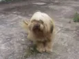 Bob 