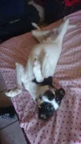 Marla
