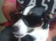 Marla