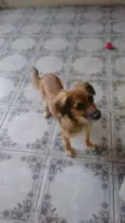 Susy