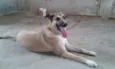 Princesa