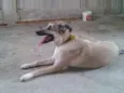 Princesa